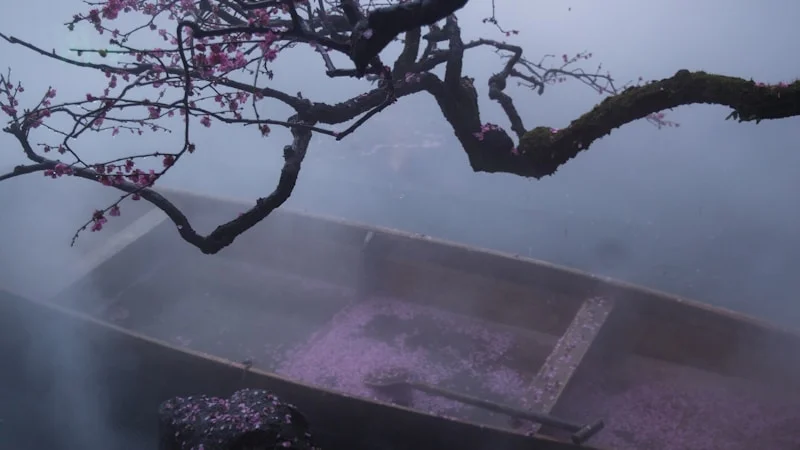 氷のように冷たい足先で眠れないあなたへ。自律神経を整え、芯からぬくもる東洋医学の「温活養生」